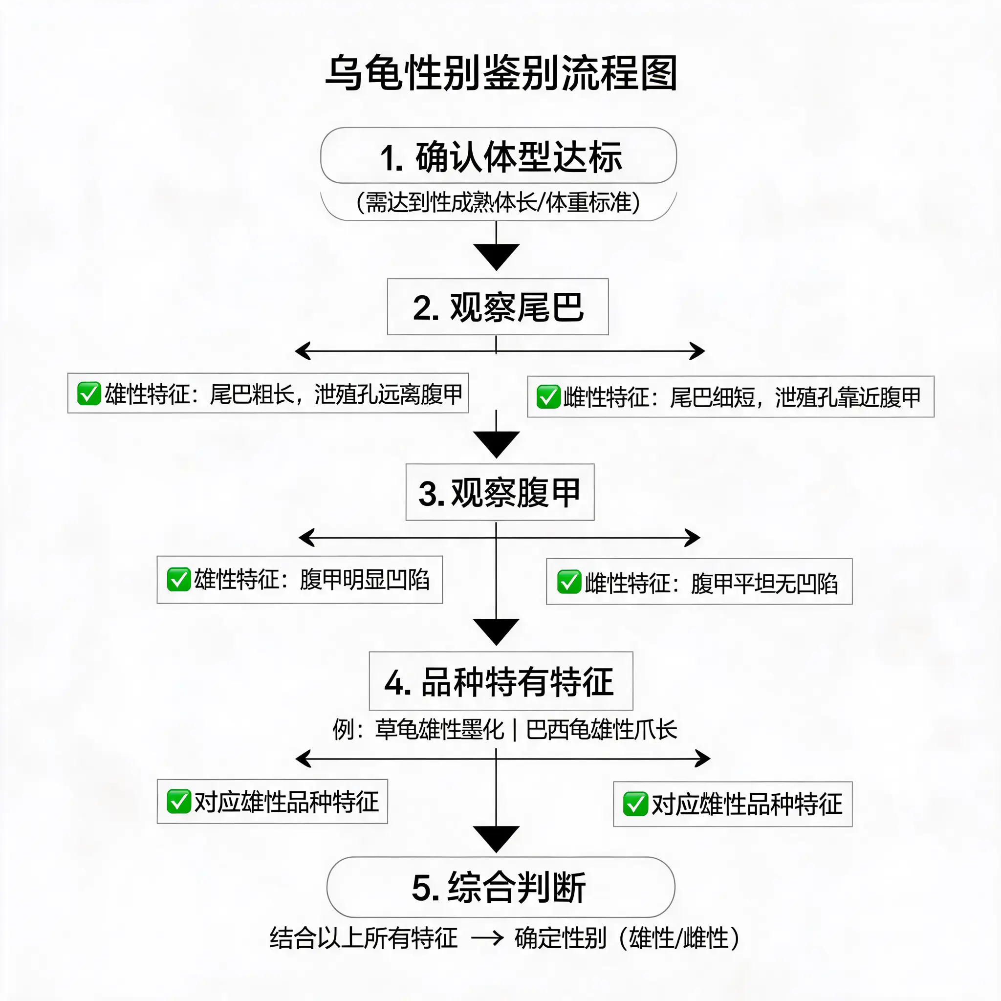 综合判断流程