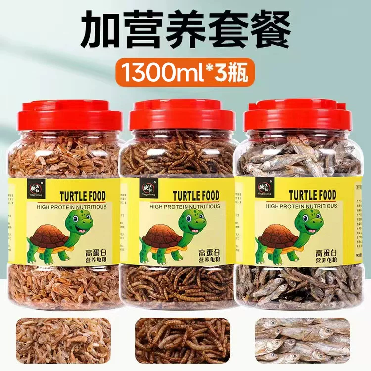 图片13