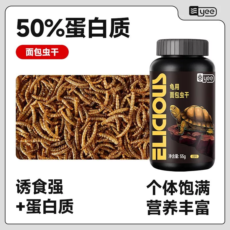 图片11