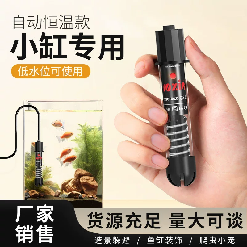 图片6