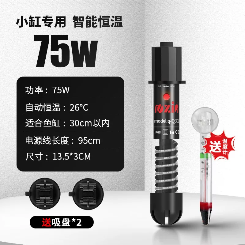 图片11