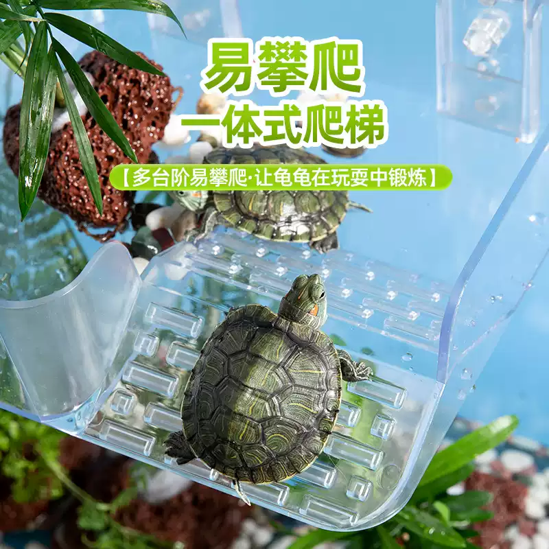 图片3