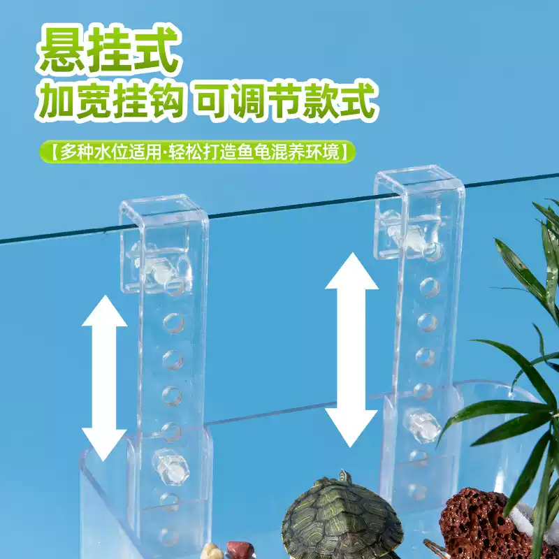 图片4