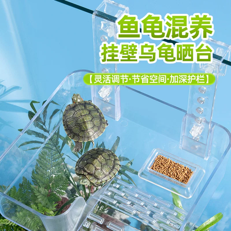 图片6