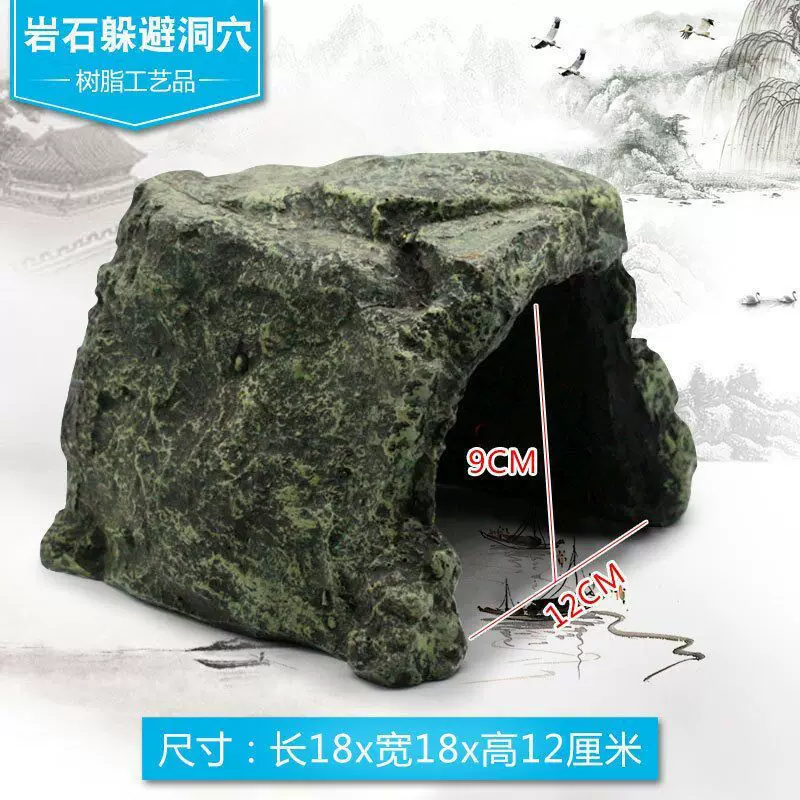 图片31