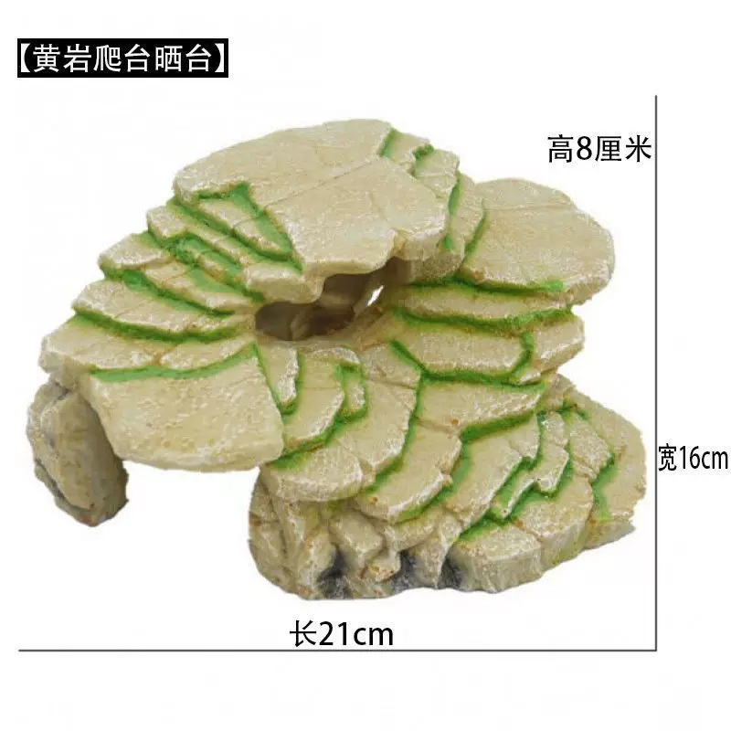 图片32