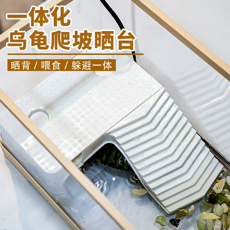 图片6
