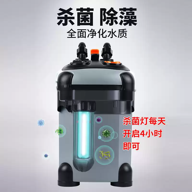 图片4