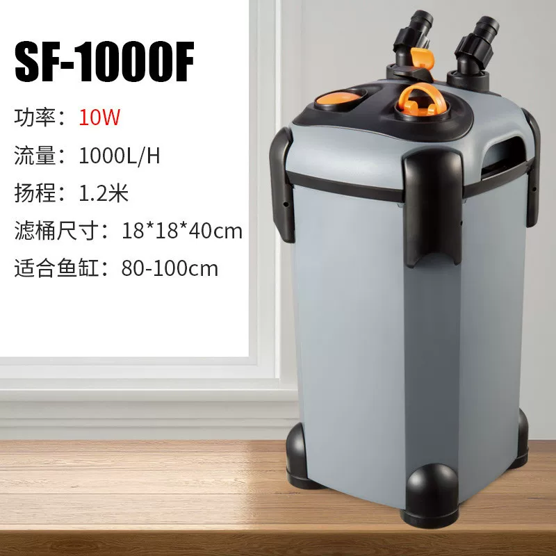 图片10